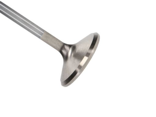 Bild på Manley Ford 4.6L 37.5mm Diameter 117.35mm Length Race Master Exhaust Valves (Set of 8)