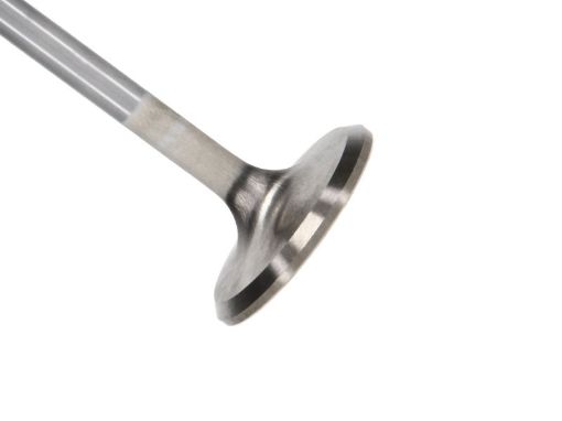 Bild på Manley Ford 4.6L 34mm Diameter 117.35mm Length Race Master Exhaust Valves (Set of 8)