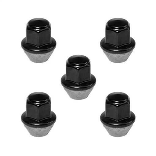 Bild på Ford Racing 15 - 17 Mustang Black Lug Nut Kit (5 Lug Nuts)