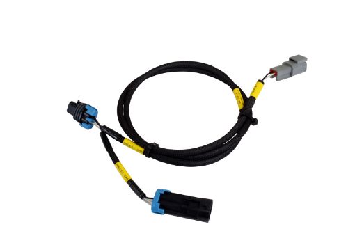 Bild på AEM CD - 7CD - 7L Plug and Play Adapter Harness for Holley EFI