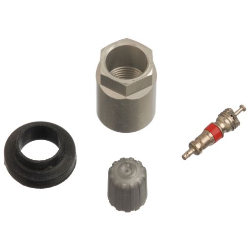 Bild på Schrader TPMS Service Pack - InfinitiNissan - 25 Pack