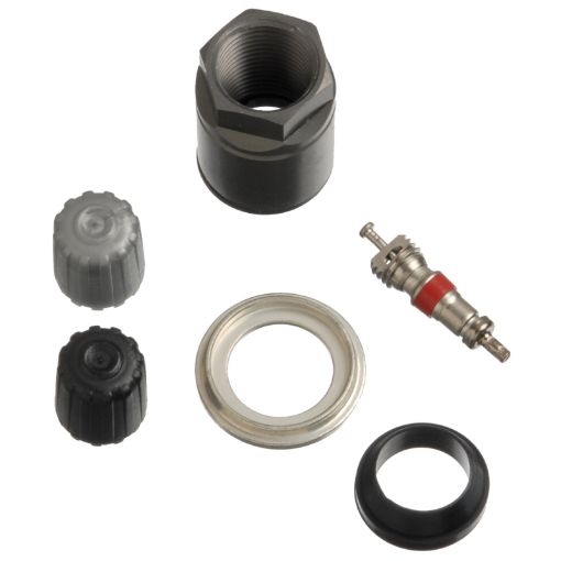 Bild på Schrader TPMS Service Pack - Volkswagen - 25 Pack