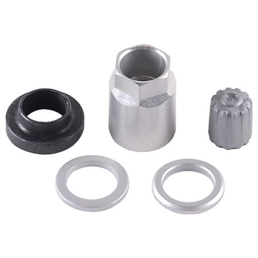 Bild på Schrader TPMS Service Pack - Beru Stems (No Valve) - 25 Pack